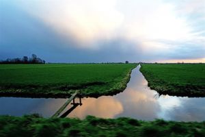 Nederlands landschap 2016